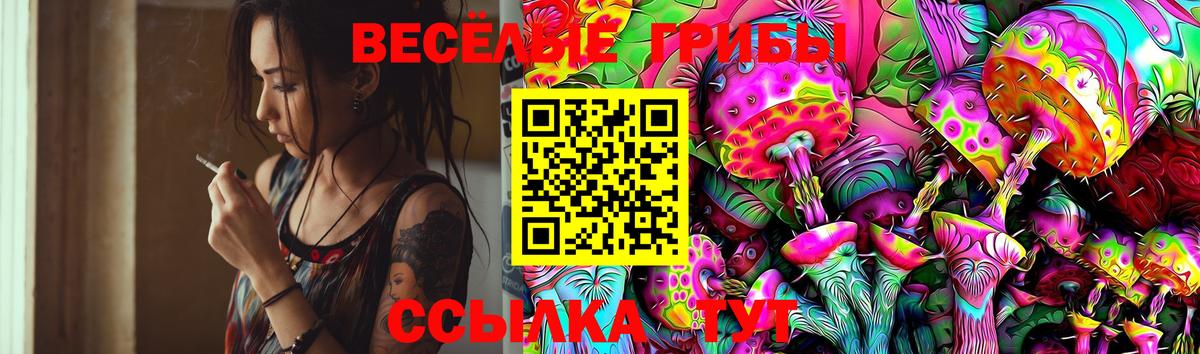 Псилоцибиновые грибы Psilocybine cubensis  Вход с VPN  Петрозаводск 