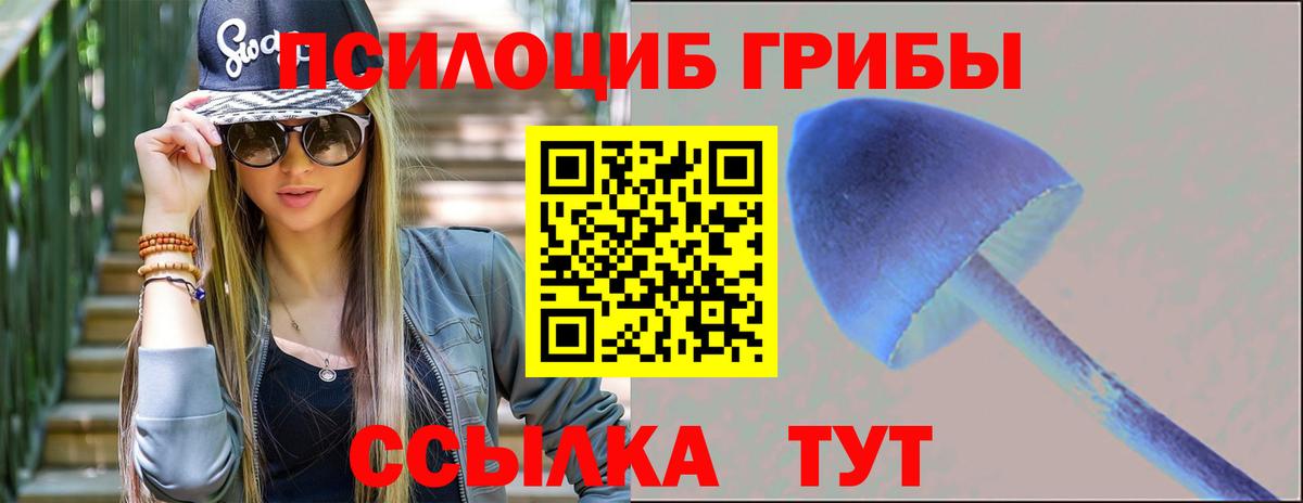 Псилоцибиновые грибы MAGIC MUSHROOMS Петрозаводск